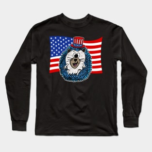 4th July Hedgehog American Flag Long Sleeve T-Shirt